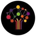 Gradlane Solutions