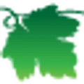 Grapevine Ford logo