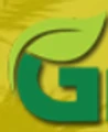 GREEN BLOX