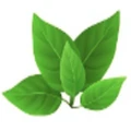 Green Energy Company logo