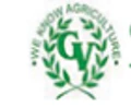 Green Vision Technical Services