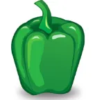Green Bell Packaging logo