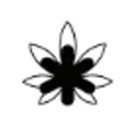 GreenDoc logo