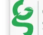 Green Grocery