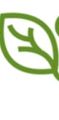 greenQMS logo