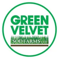 Green Velvet logo