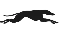 Greyhound Capital logo