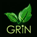 Grin Systems logo