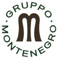 Gruppo Montenegro logo