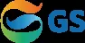 GS Holdings logo