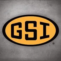 GSI AG logo