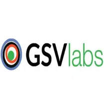 GSV Labs logo