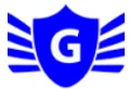GT Force