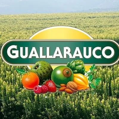 Guallarauco logo