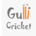 Gulli Cricket