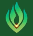 Gvan Biofuels