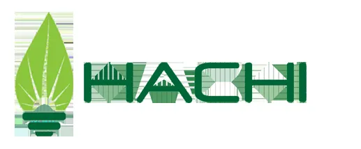 Hachi