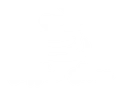HammerPill logo
