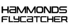 Hammonds Flycatcher logo