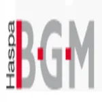Haspa BGM logo