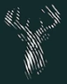 HausHirsch logo