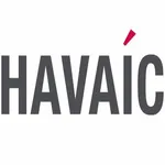 HAVAIC logo