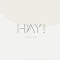 Hay Clothing logo