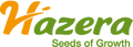 Hazera