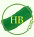 HB Learning Solutions
