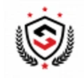 Head of Security logo