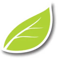 Healing Solutions logo