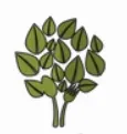 Health on Plants logo