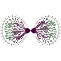 Healthynfinity