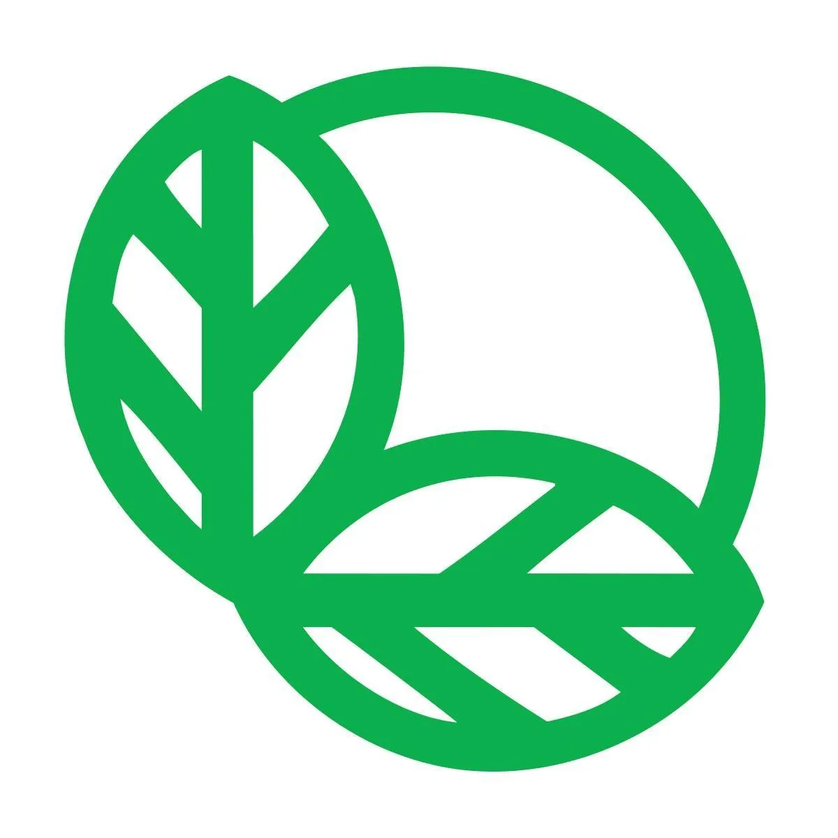 Helsam logo