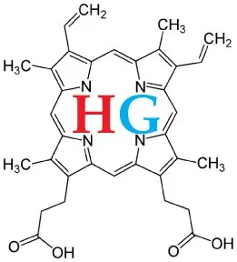 Hemogenyx Pharmaceuticals logo
