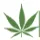 Hemp Foundation