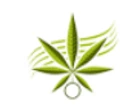 Hemp in India