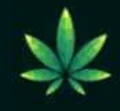 Hempistani logo