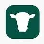 Herdvision logo