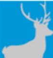 Hersz Capital logo