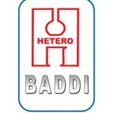 Hetero Group