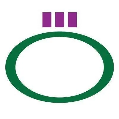 Highlander Computing Solutions logo