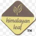 Himalayan Leaf