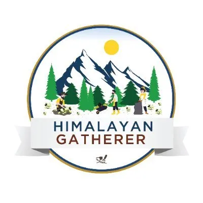 Himalayan Gatherer