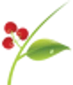 HIOX India