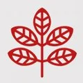 HoAloha Studio logo