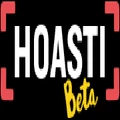 Hoasti logo