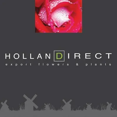 HOLLANDIRECT logo