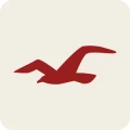 Hollister Co logo