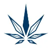Hollister Cannabis logo